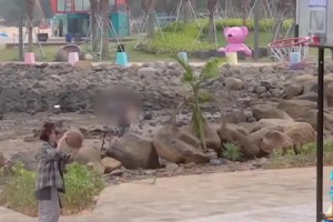 NBA球员收割机，赛级白女 肯豆